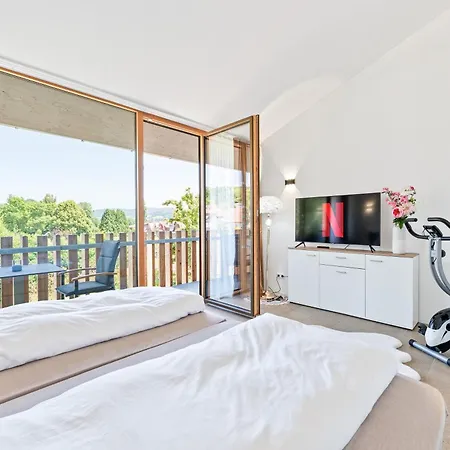 Bodensee Penthouse 21d - Seesicht - Billiard - Massage - Trambolin - Bbq - Tischkicker - Parken - Panorama Exklusive Öhningen